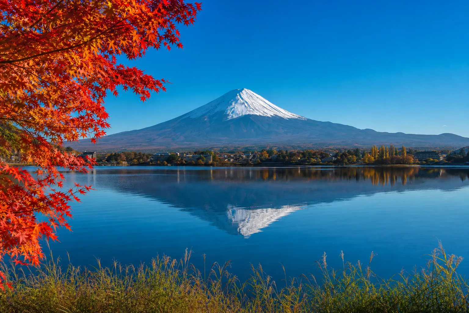 llac Kawaguchi