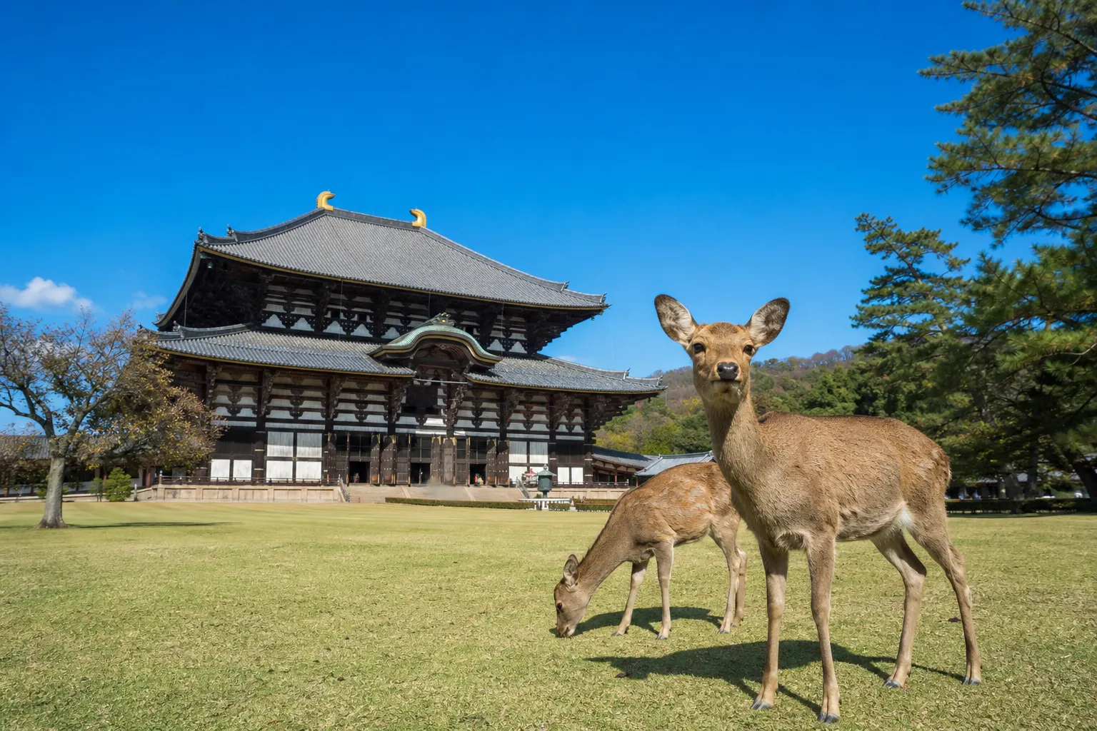Nara