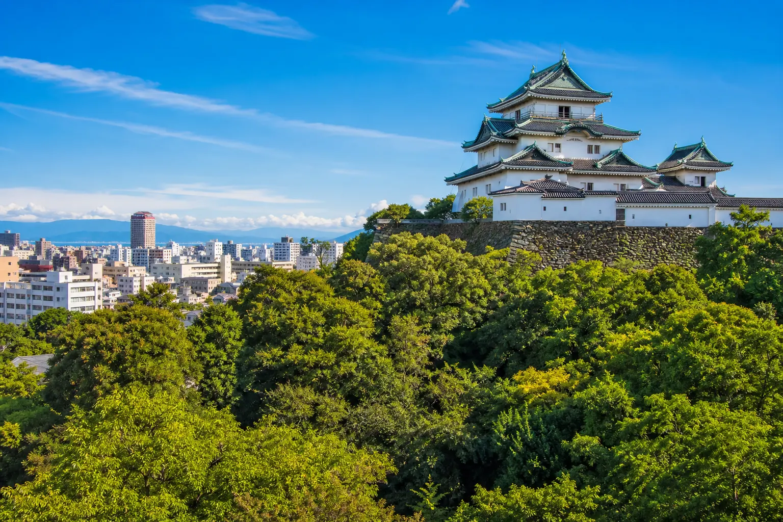 Wakayama