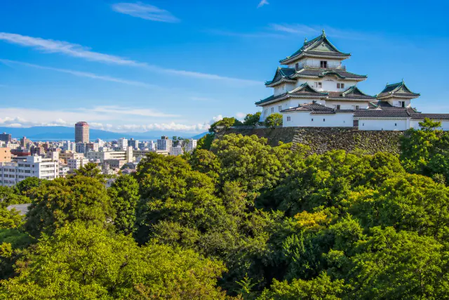 Wakayama