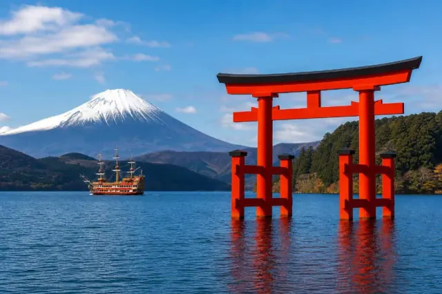 Cotxe privat amb conductor des de Hakone · 1