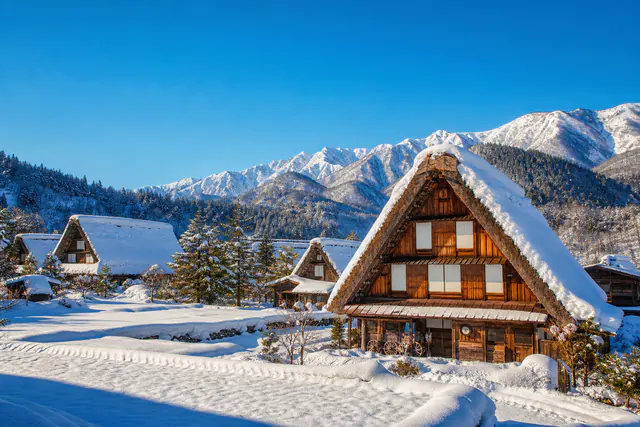 Cotxe privat amb conductor des de Shirakawa-go · 1